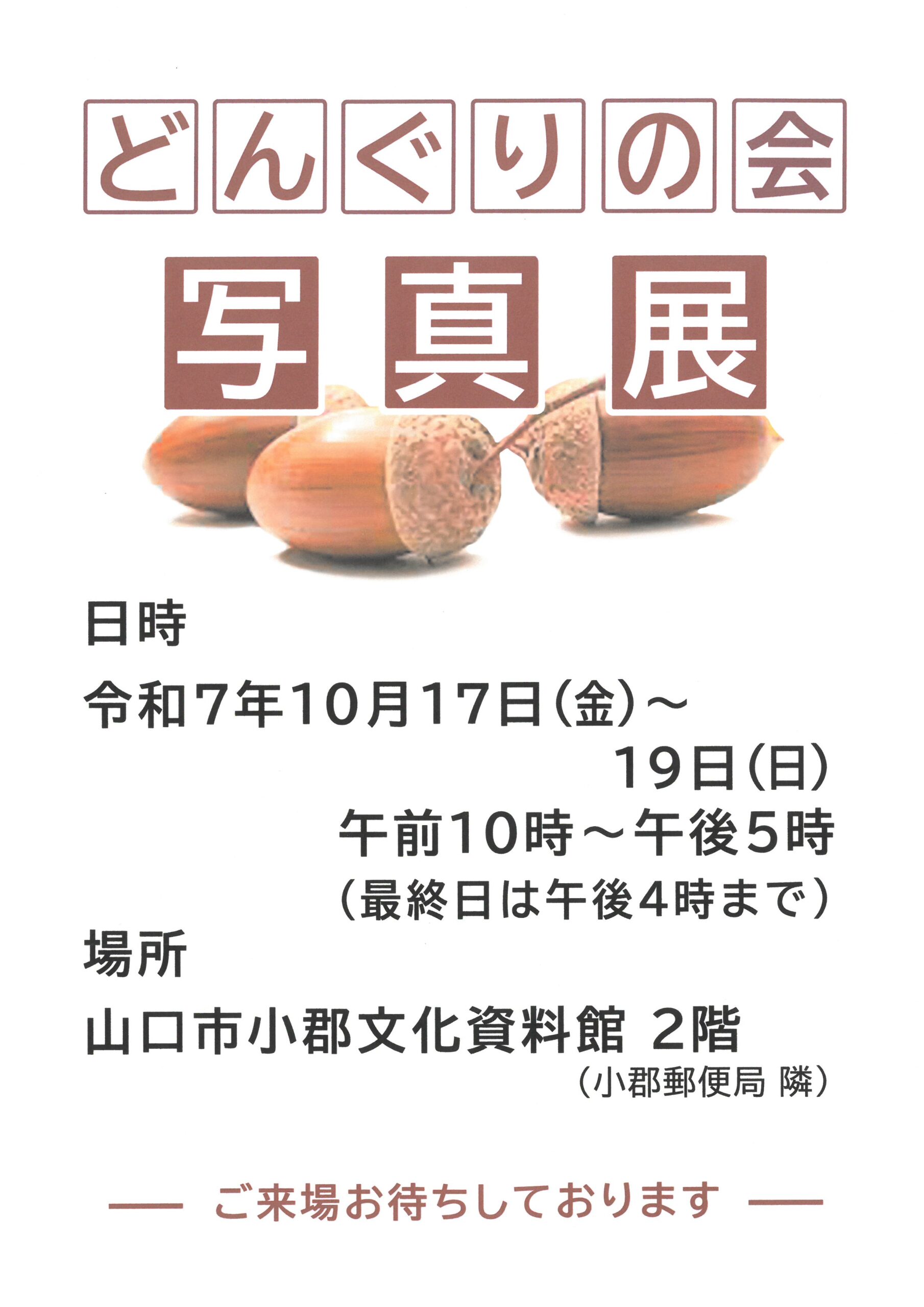 どんぐりの会 写真展 - 山口カレンダー