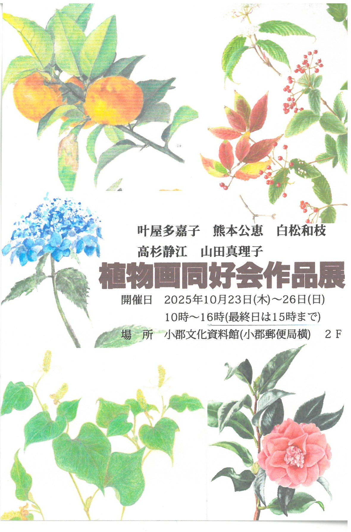 植物画同好会 作品展 - 山口カレンダー